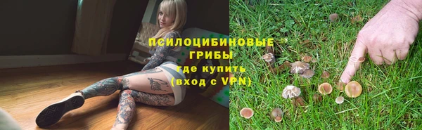 эйфоретик Козловка