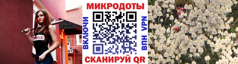 Галлюциногенные грибы мицелий  Купить где  Гуково 